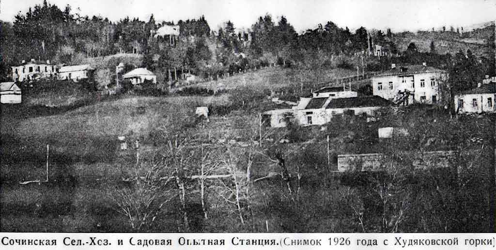 Сочинская опытная станция в 1926 году